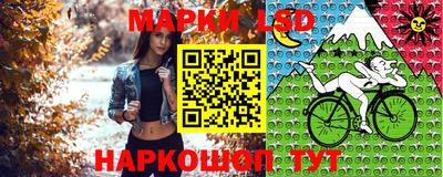 СК Славянск-на-Кубани