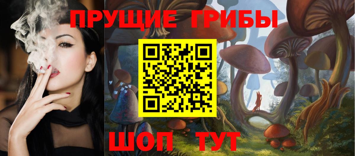 Псилоцибиновые грибы Psilocybine cubensis Россошь