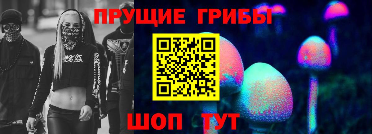 Псилоцибиновые грибы Psilocybine cubensis  магазин    Россошь  Вход с VPN 