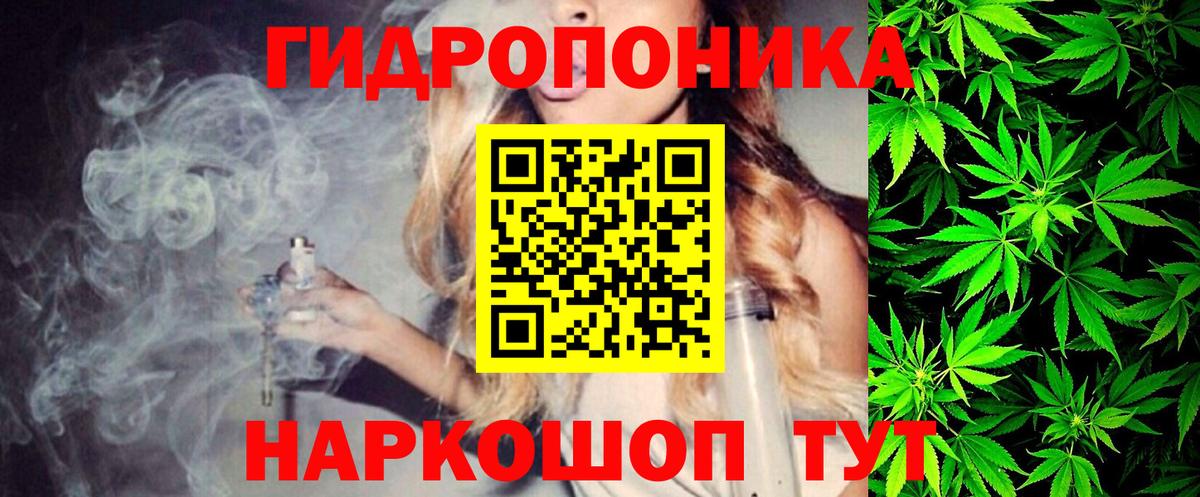 Бошки Шишки White Widow  Канабис ГИДРОПОН  Россошь  Вход с VPN  Бошки марихуана конопля 